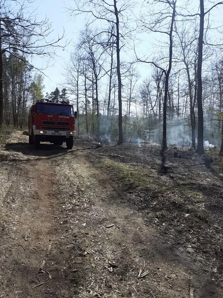 Fire service operation in Nowa Kuźnia (Gromadka commune, Bolesławiec County)