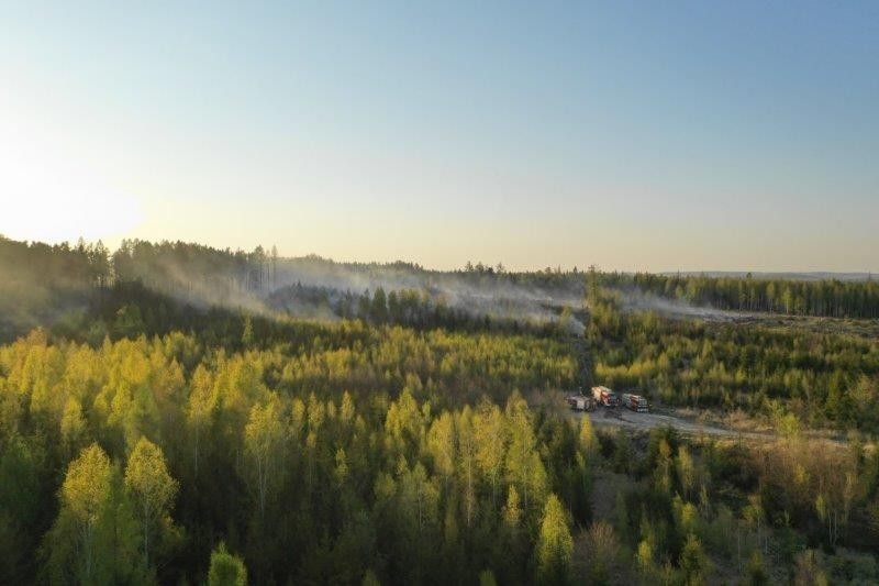 Pożary lasów w powiecie bolesławieckim