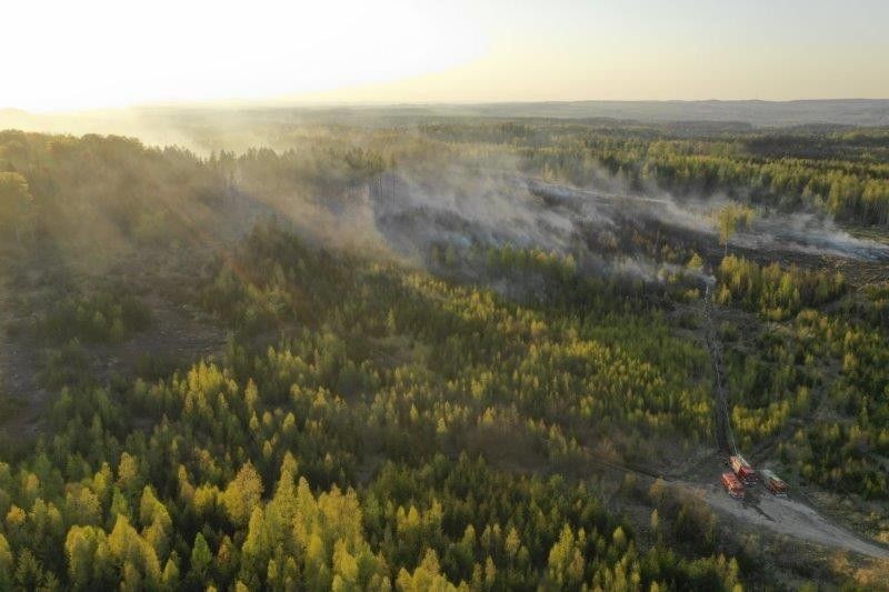 Pożary lasów w powiecie bolesławieckim