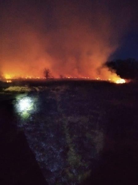 Pożary lasów w powiecie bolesławieckim