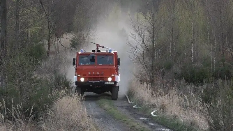 Pożary lasów w powiecie bolesławieckim
