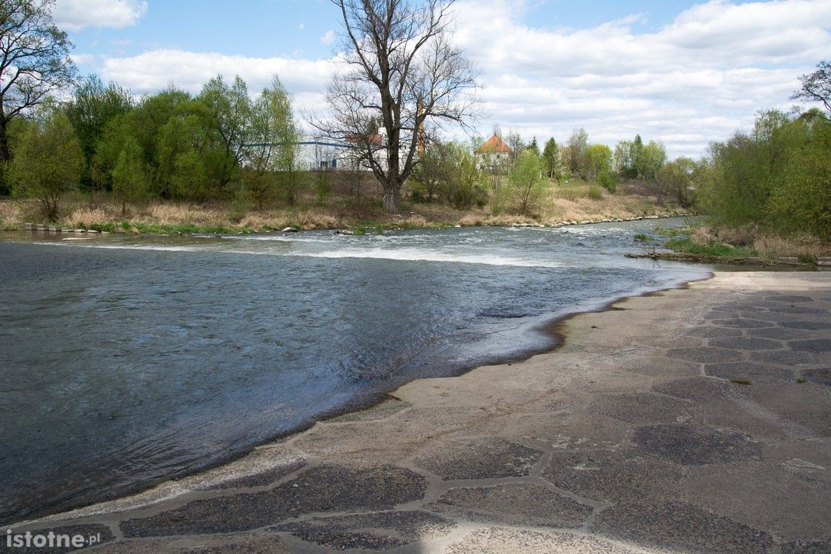 Stan wody w rzecze Bóbr (zdjęcia wykonane 26 kwietnia w Bolesławcu)