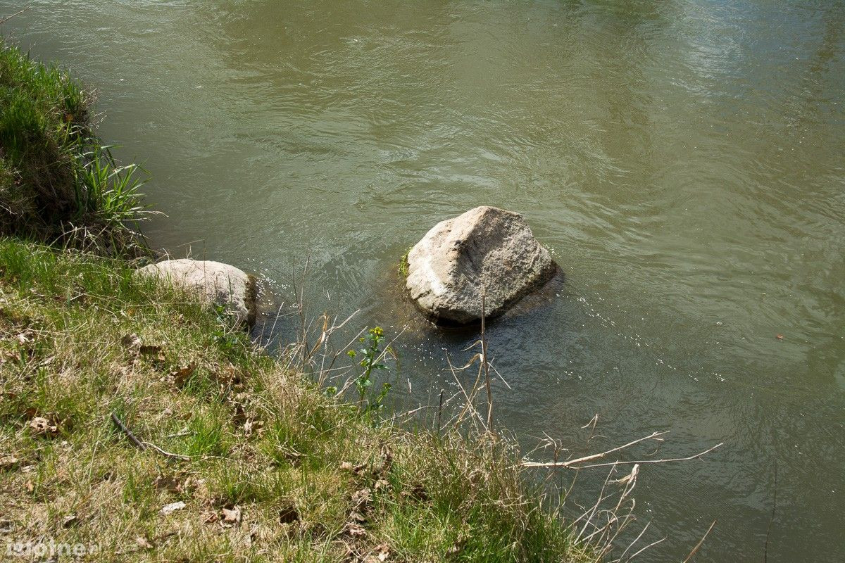 Stan wody w rzecze Bóbr (zdjęcia wykonane 26 kwietnia w Bolesławcu)