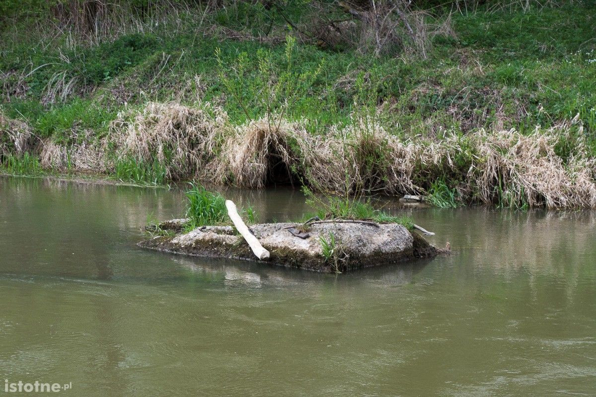 Stan wody w rzecze Bóbr (zdjęcia wykonane 26 kwietnia w Bolesławcu)
