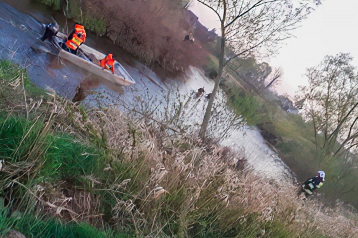 Poszukiwanie 4-latka w Nowogrodźcu