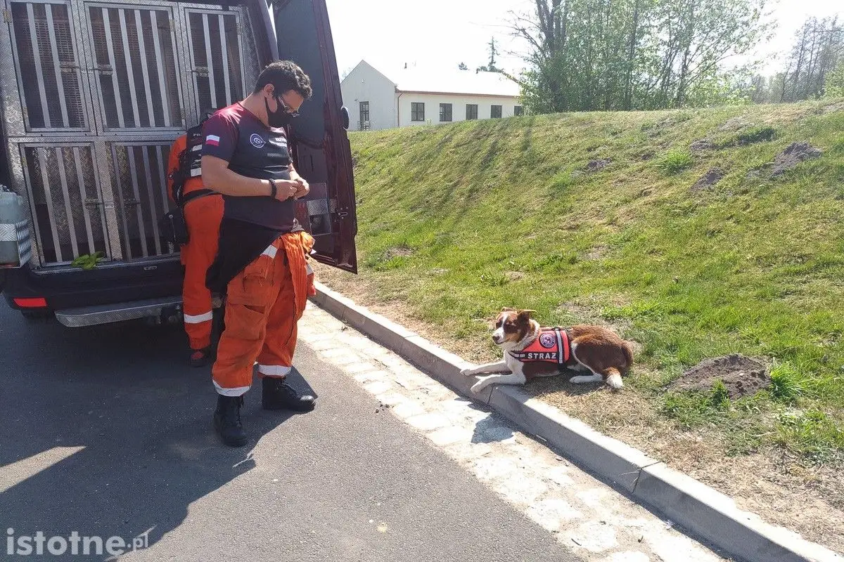 Poszukiwania 3,5-letniego Kacperka w Nowogrodźcu