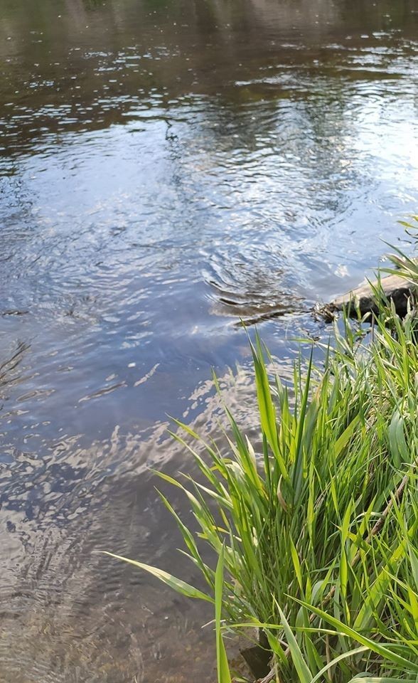 Poszukiwania 3,5-letniego Kacperka w Nowogrodźcu