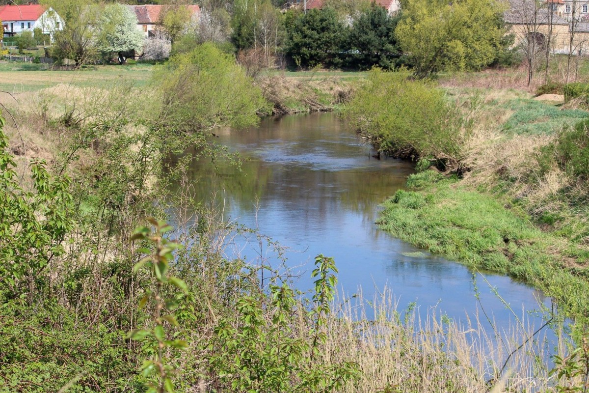 Poszukiwanie 3,5-latka w Nowogrodźcu