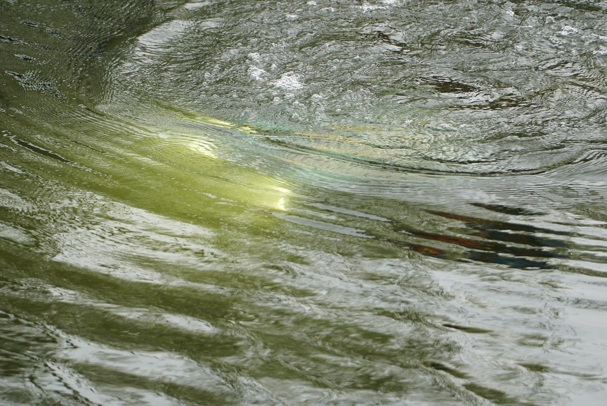 W akcji poszukiwawczej wykorzystywany jest robot podwodny