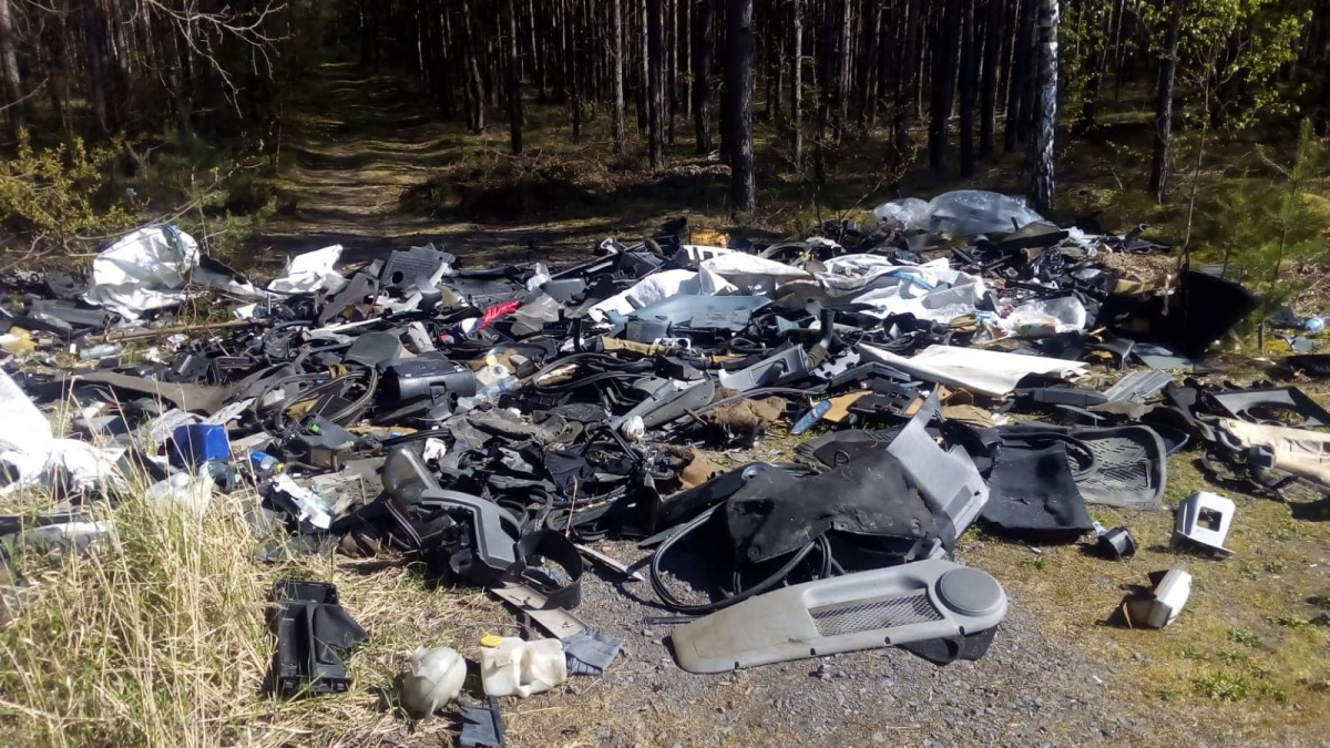 Śmieci w lesie koło Krępnicy