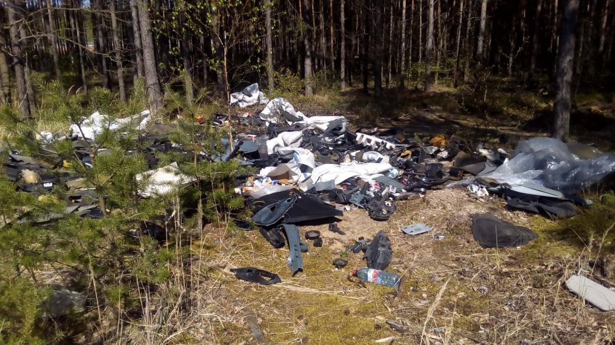 Śmieci w lesie koło Krępnicy
