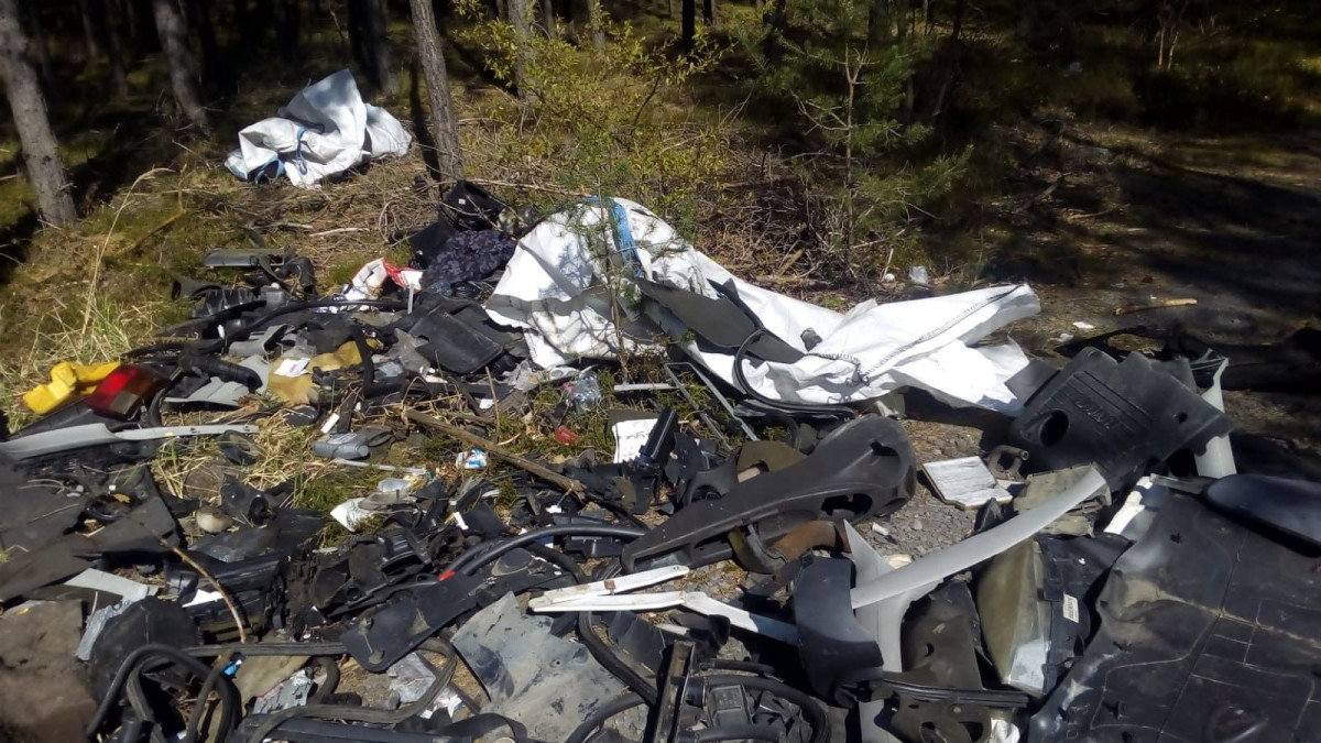 Śmieci w lesie koło Krępnicy