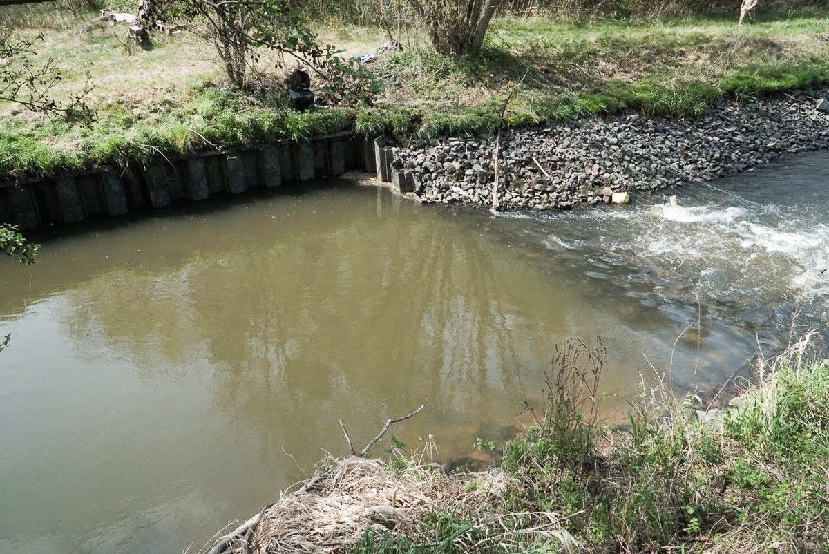 Sieć na kanale prowadzących do uskoku wodnego w Parzycach (gmina Nowogrodziec)