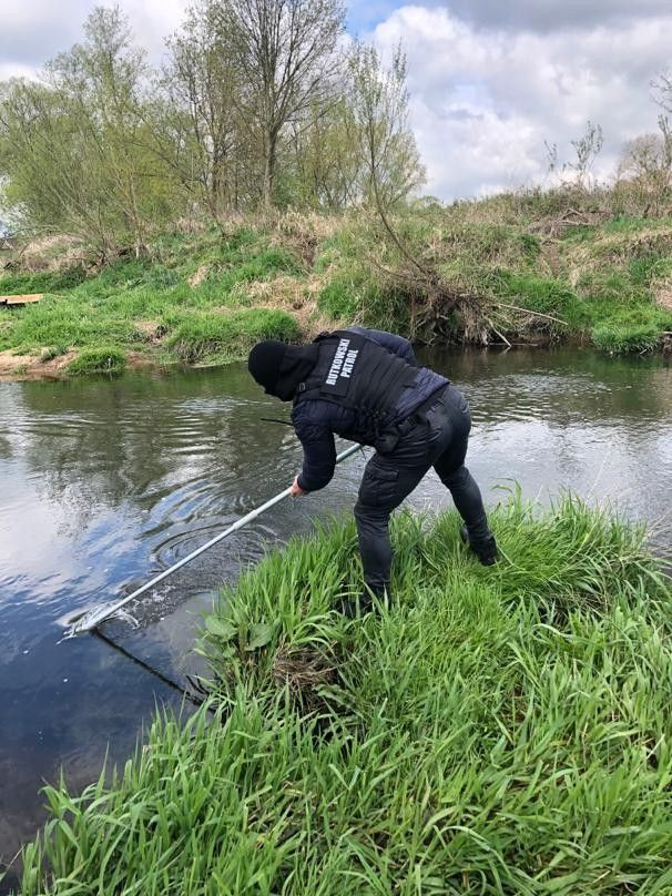 Pracownik biura Rutkowski