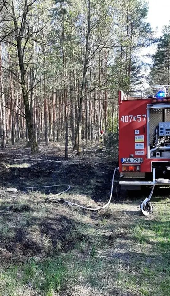 Akcja straży pożarnej koło Świętoszowa (gmina Osiecznica, powiat bolesławiecki)