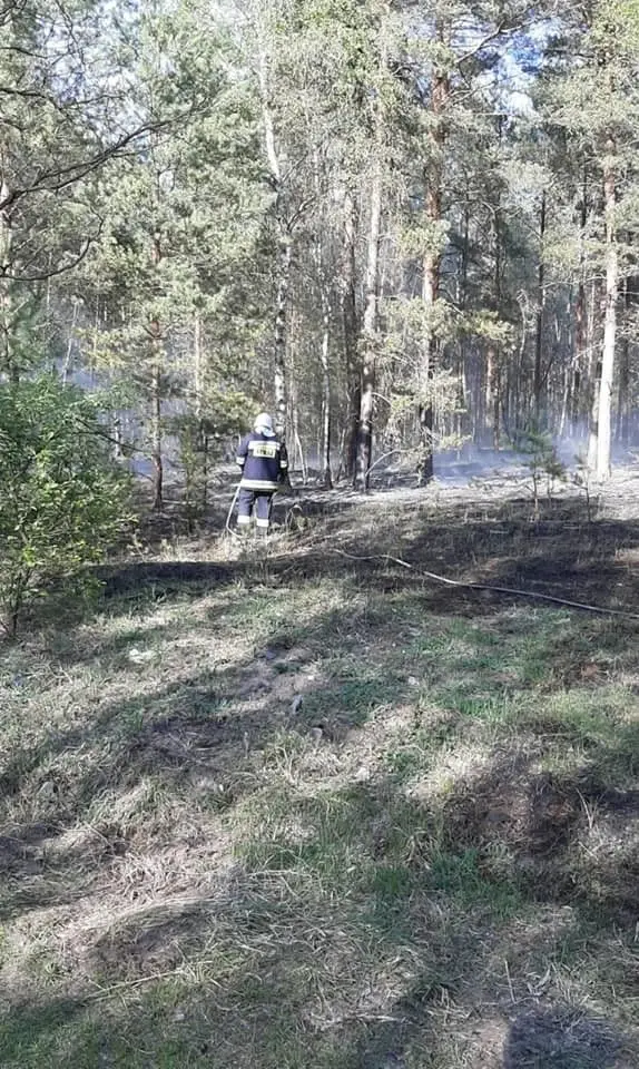 Akcja straży pożarnej koło Świętoszowa (gmina Osiecznica, powiat bolesławiecki)