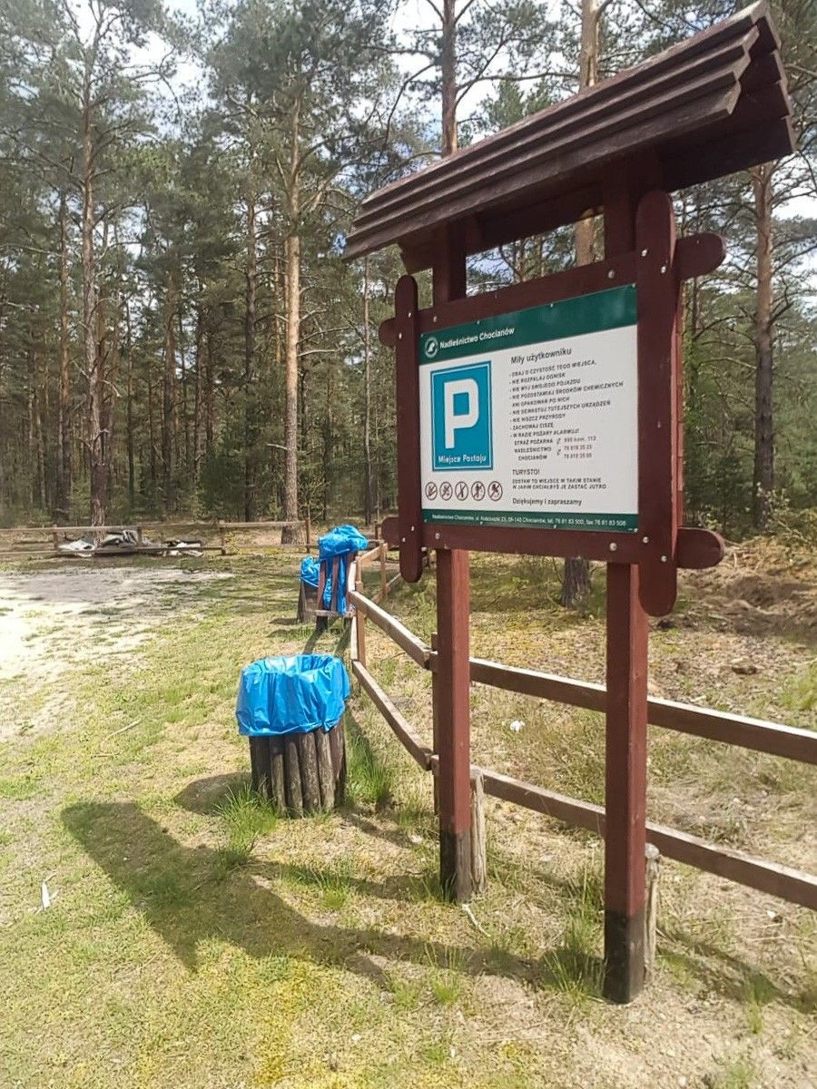 Dzikie wysypisko przy drodze 297, między Trzebieniem a Golnicami (gmina Bolesławiec)