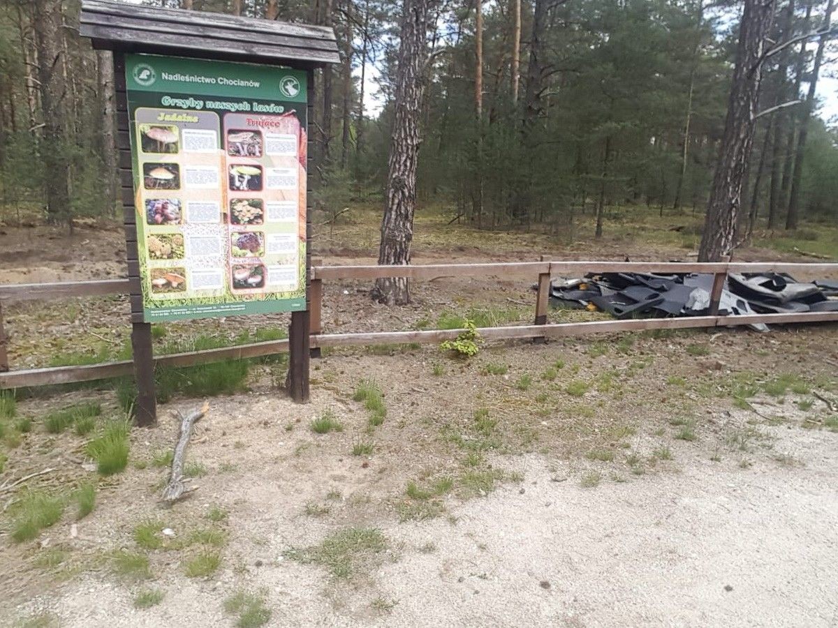 Dzikie wysypisko przy drodze 297, między Trzebieniem a Golnicami (gmina Bolesławiec)