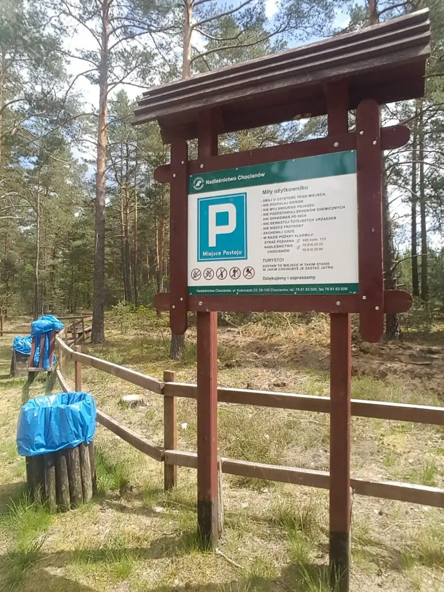 Dzikie wysypisko przy drodze 297, między Trzebieniem a Golnicami (gmina Bolesławiec)
