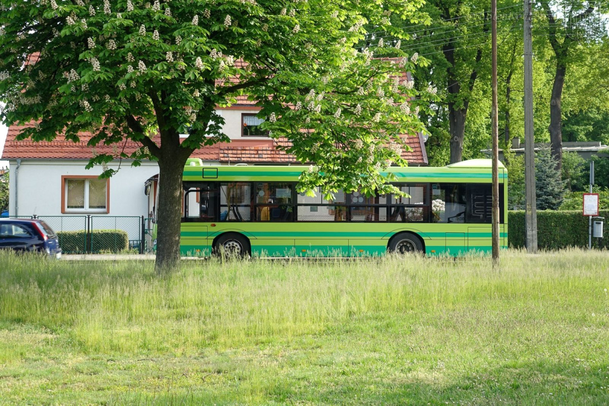 Akcja saperów przy ulicy Góralskiej w Bolesławcu