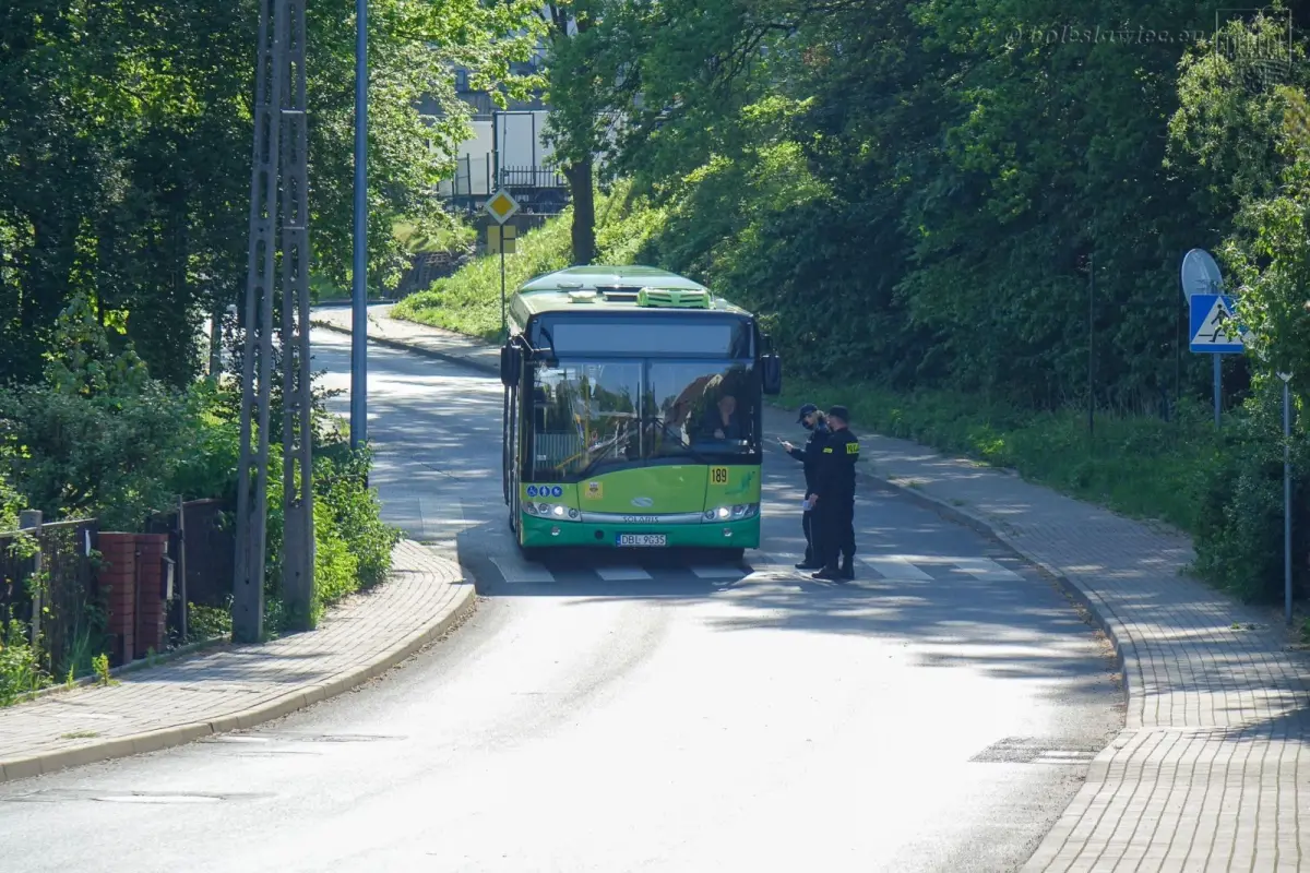 Akcja saperów przy ulicy Góralskiej w Bolesławcu