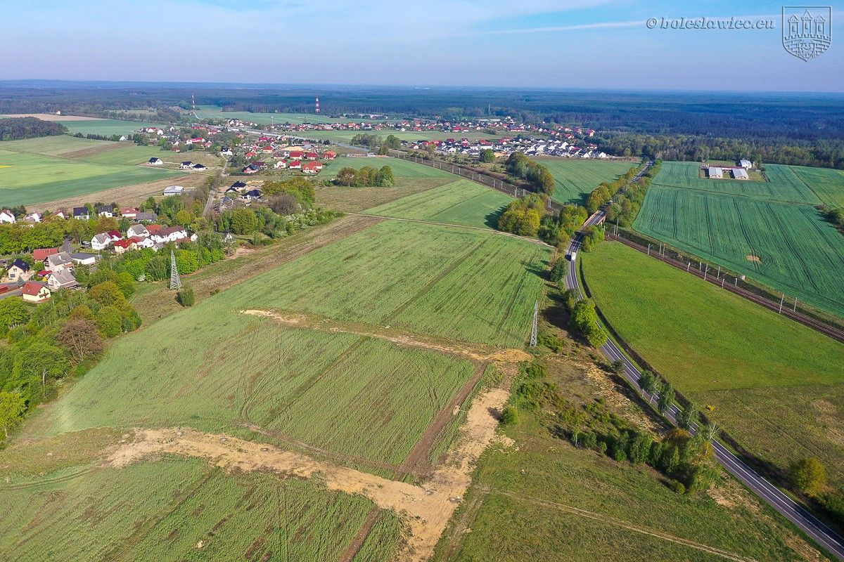 Ulica Ptasia w Bolesławcu