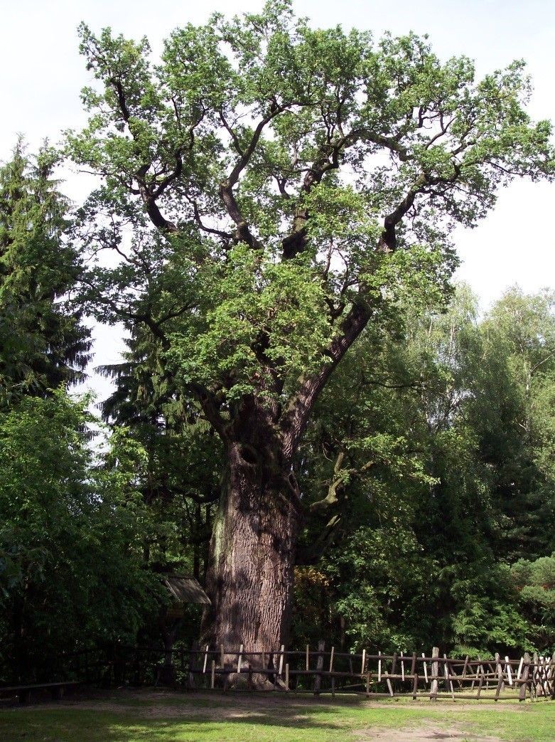 Chrobry przed pożarem w pełnej okazałości