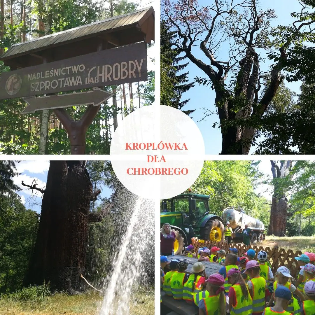 Kroplówka dla Chrobrego: czerwiec 2018 r.