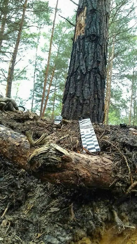 Akcja saperów z Patrolu Rozminowania nr 23 z 23 Śląskiego Pułku Artylerii