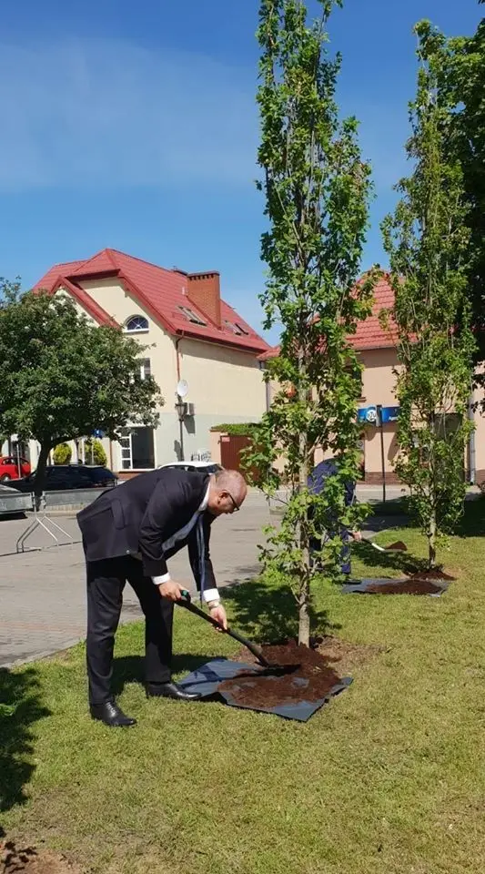 Urzędnicy z UMWD sadzą w Polkowicach Dęby Samorządności z okazji 30-lecia samorządu terytorialnego