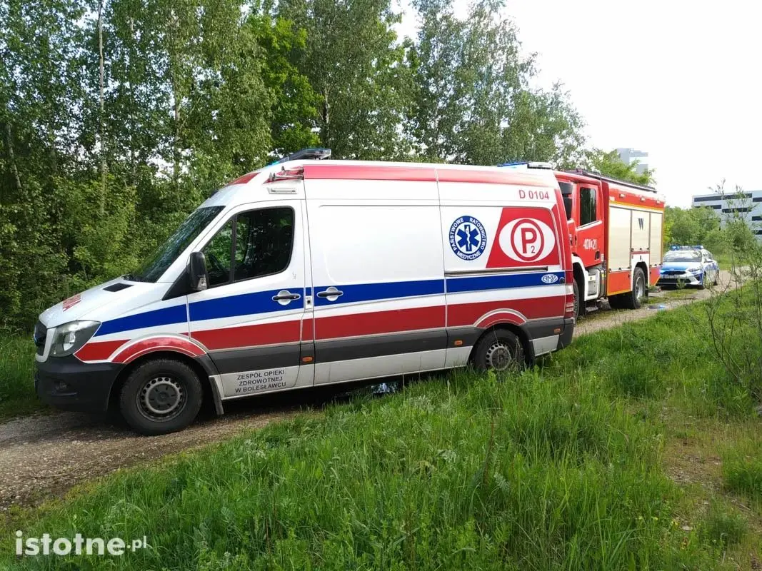 Pożar altanki przy Hutniczej