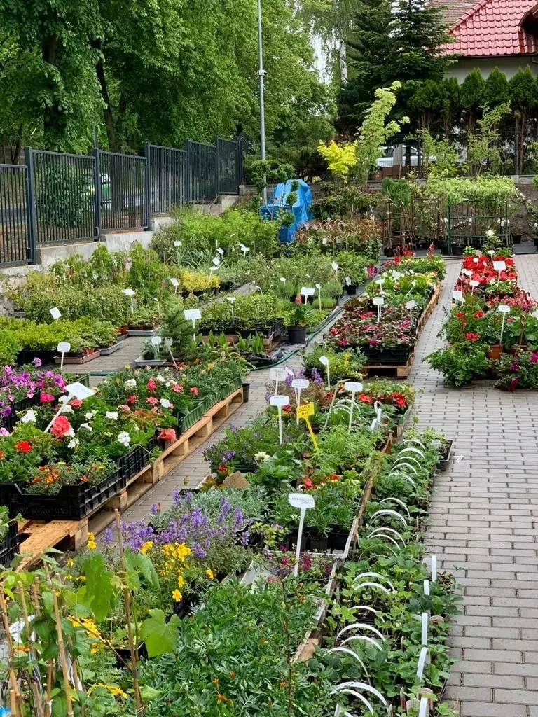 Centrala Nasienna Bolesławiec
