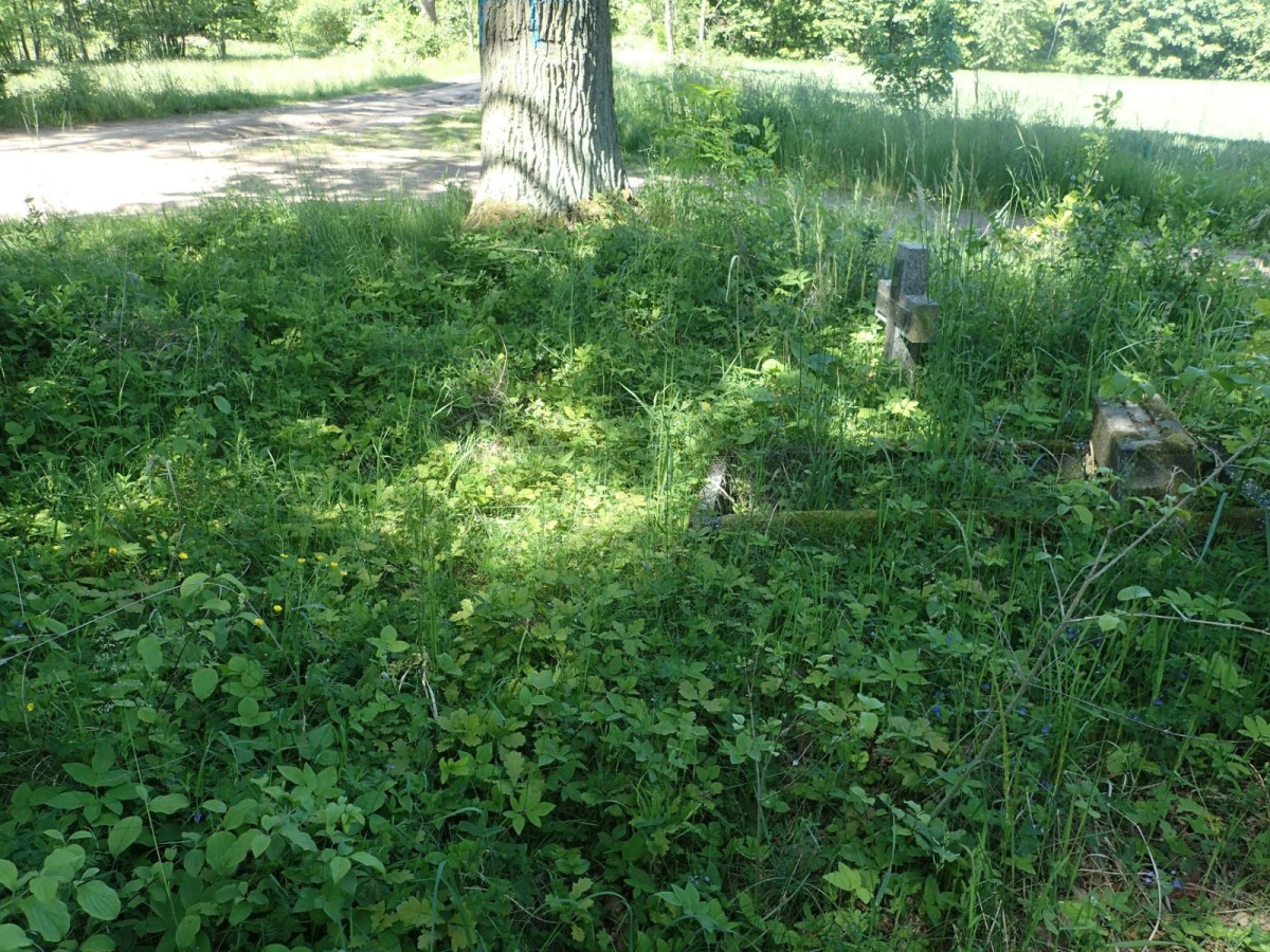 Prace ekshumacyjne prowadzone przez poznańskie stowarzyszenie Pomost w okolicach Gościszowa (gmina Nowogrodziec, powiat bolesławiecki)