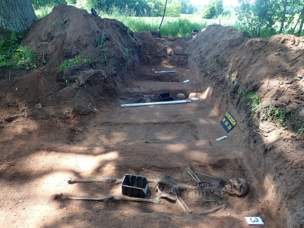 Prace ekshumacyjne prowadzone przez poznańskie stowarzyszenie Pomost w okolicach Gościszowa (gmina Nowogrodziec, powiat bolesławiecki)