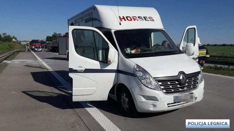 Akcja policji na A4. Eskortowanie koni