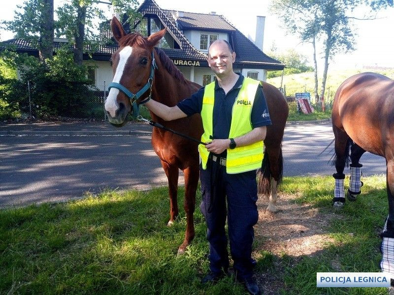 Akcja policji na A4. Eskortowanie koni
