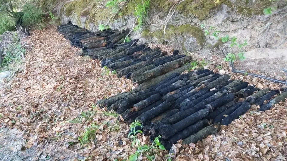 Akcja żołnierzy na Jeziorze Ciemnym w województwie lubuskim