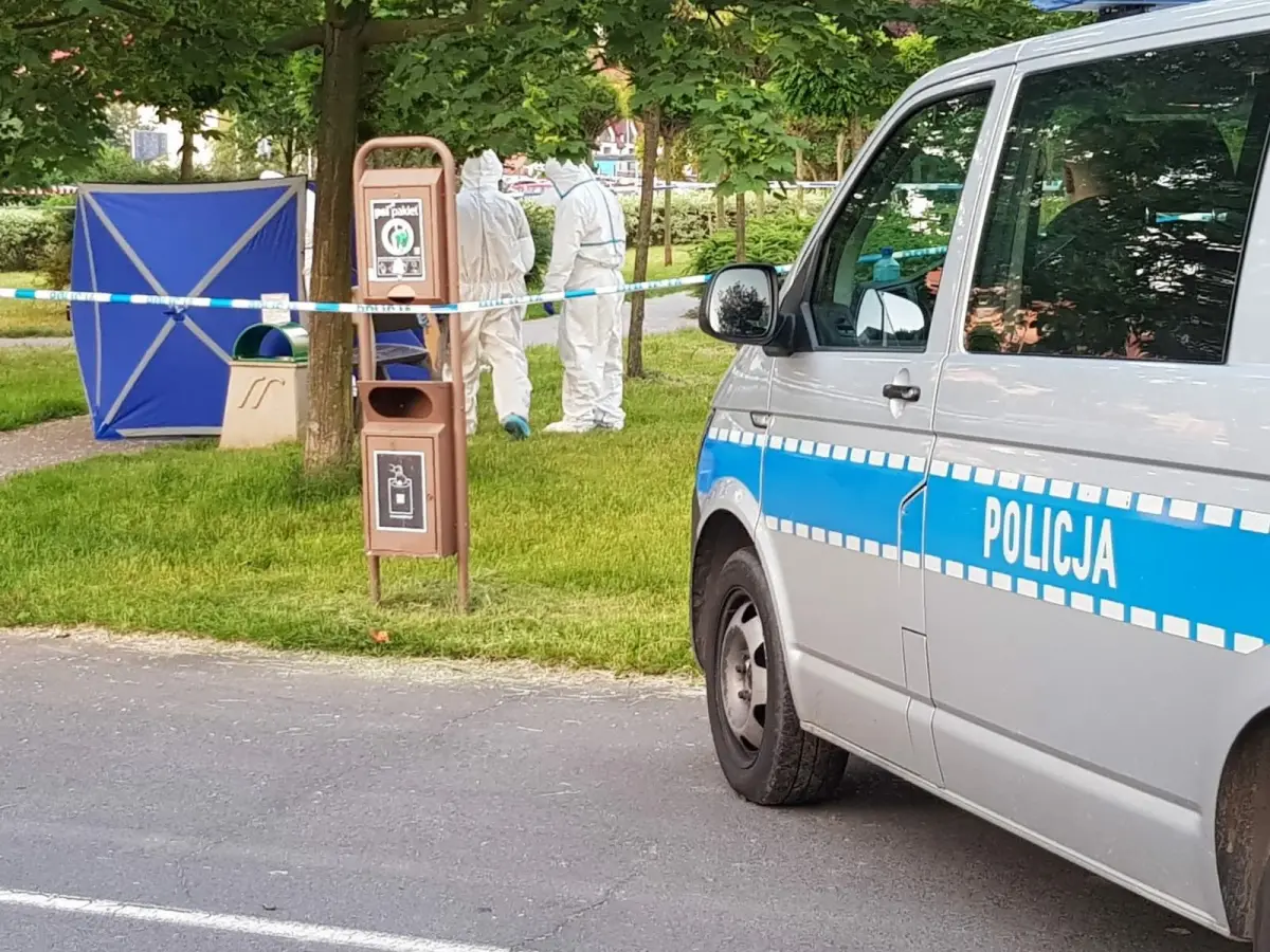 Zabójstwo na osiedlu Przylesie w Lubinie: miejsce zdarzenia i podejrzany