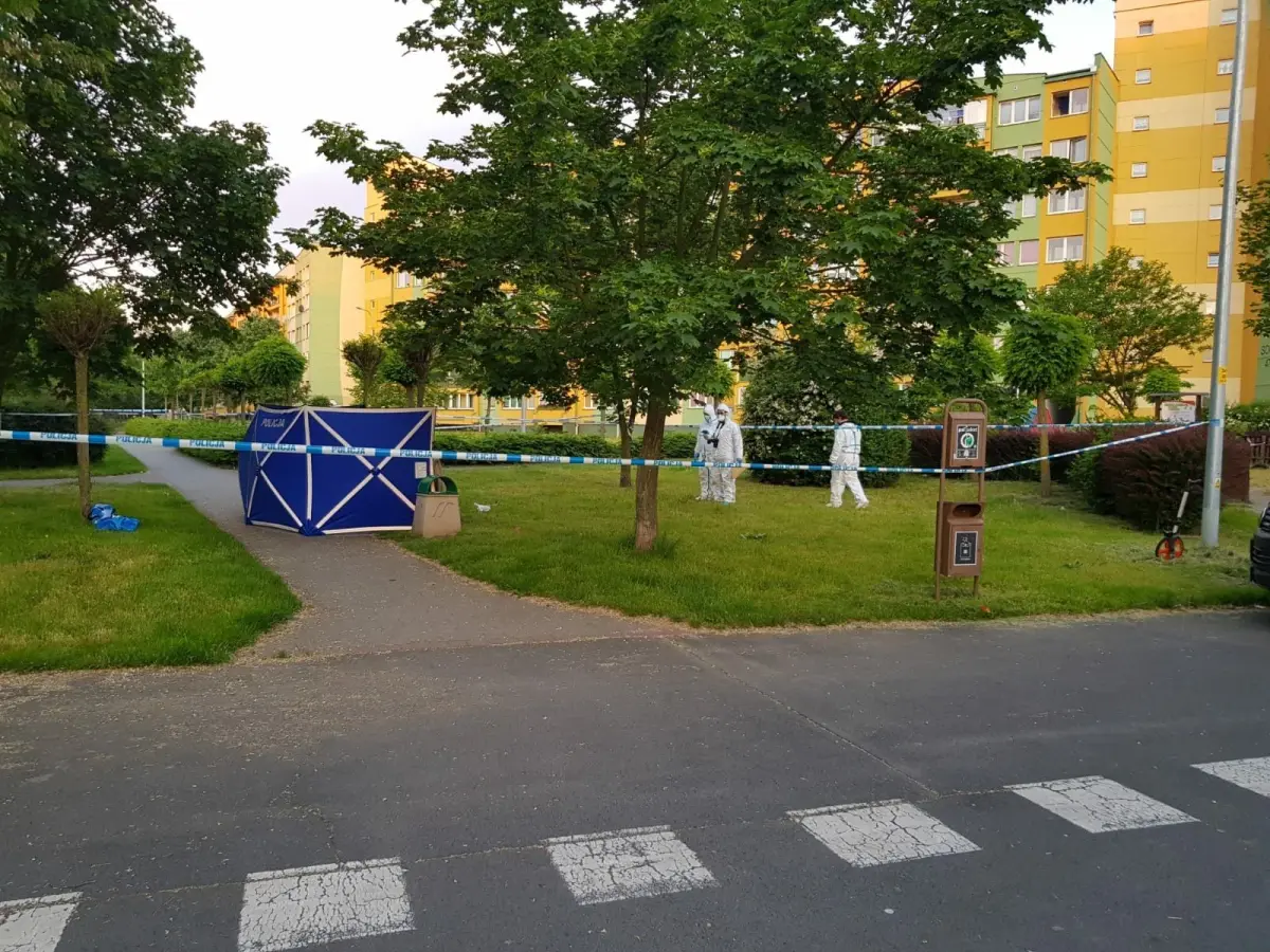 Zabójstwo na osiedlu Przylesie w Lubinie: miejsce zdarzenia i podejrzany