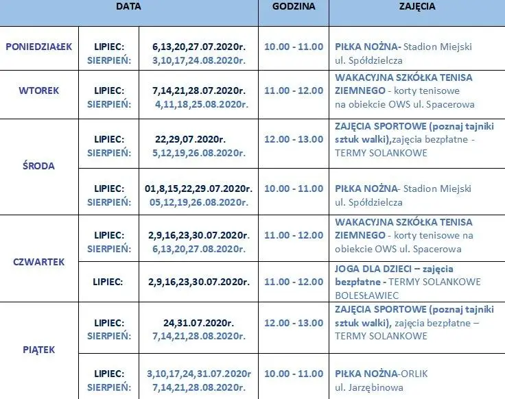 Grafik zajęć - Projekt Aktywne Wakacje 2020