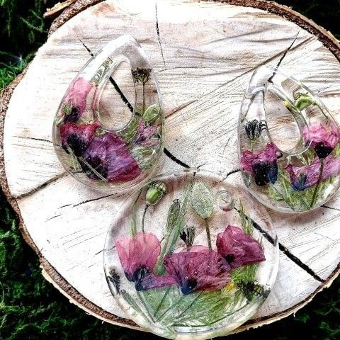 Rośliny mieszkające w szkle