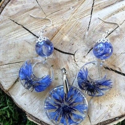 Rośliny mieszkające w szkle