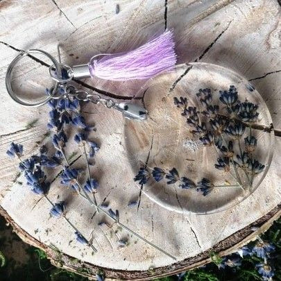 Rośliny mieszkające w szkle