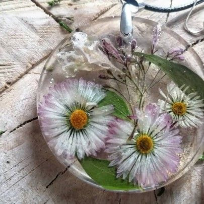 Rośliny mieszkające w szkle