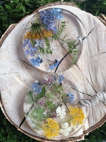 Rośliny mieszkające w szkle