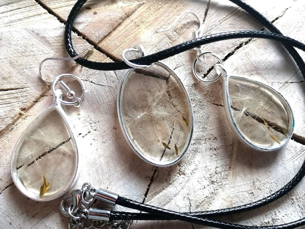 Rośliny mieszkające w szkle