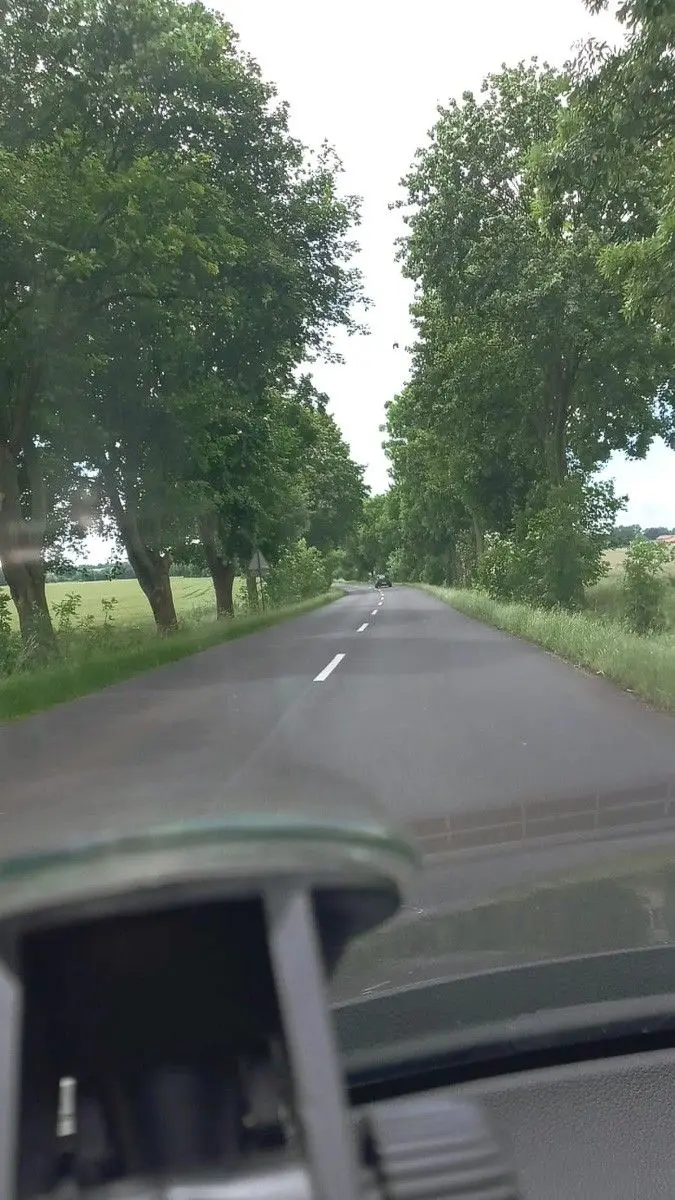 Niebezpieczne chaszcze przy wylotówce z Bolesławca