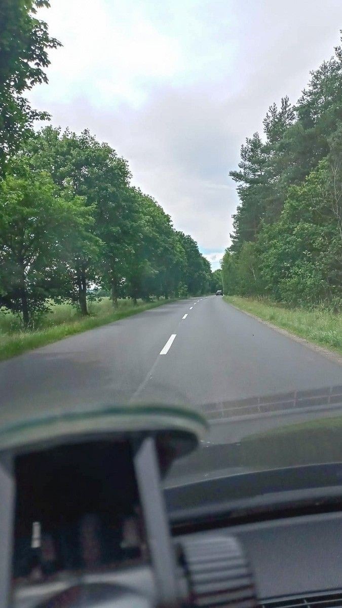 Niebezpieczne chaszcze przy wylotówce z Bolesławca