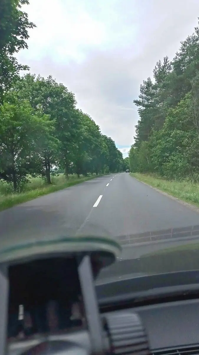 Niebezpieczne chaszcze przy wylotówce z Bolesławca