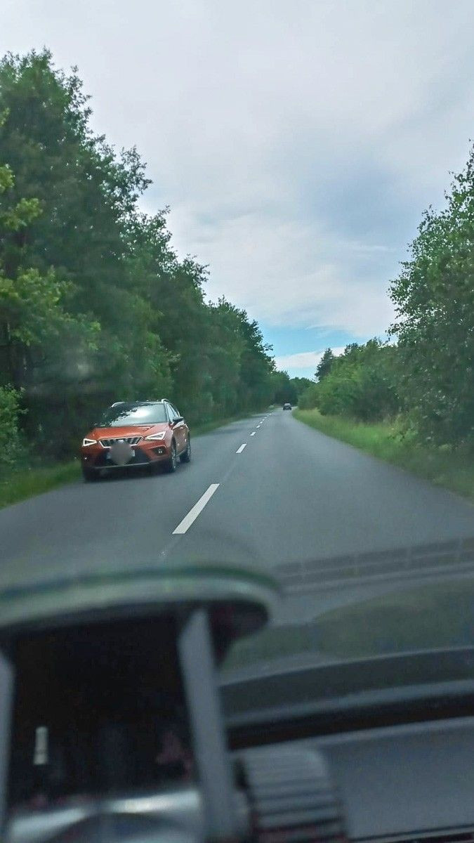 Niebezpieczne chaszcze przy wylotówce z Bolesławca